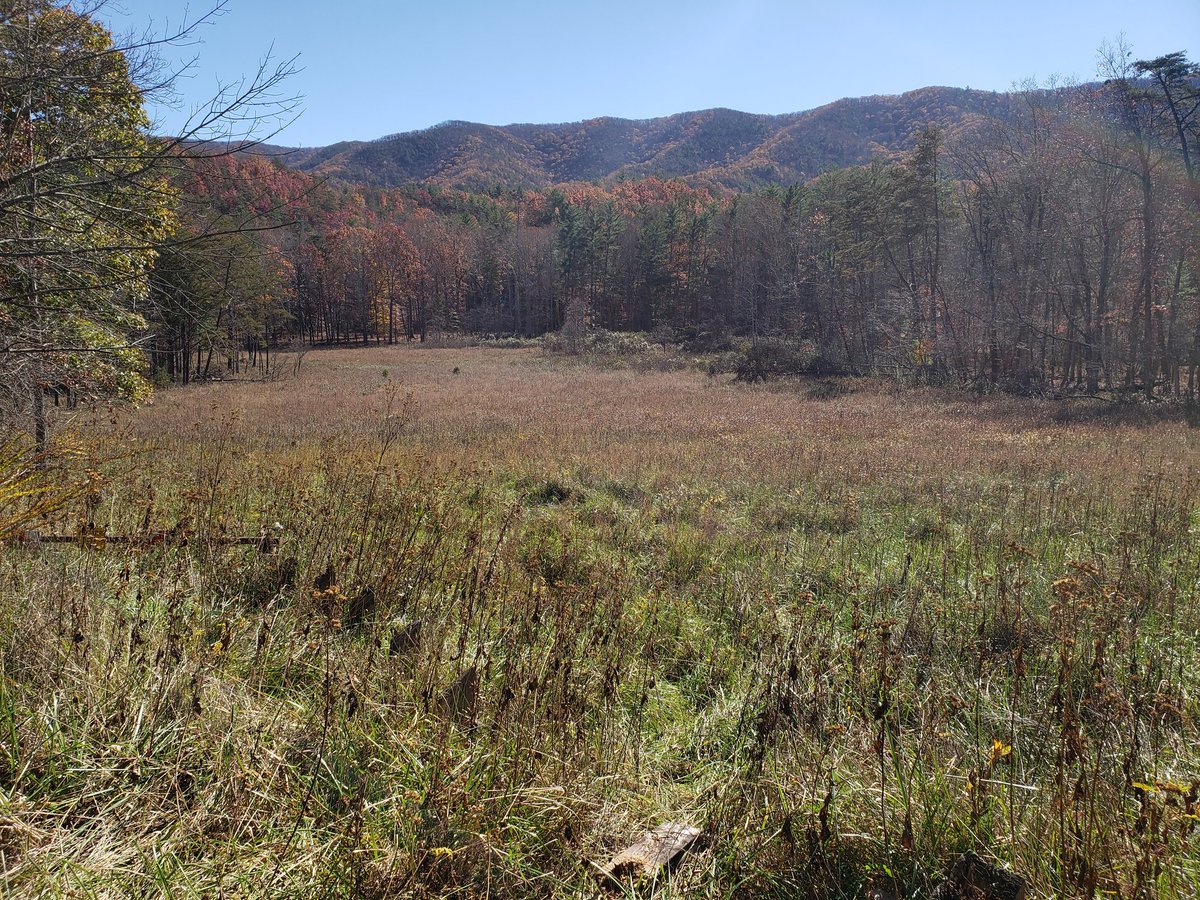 Marc A. Milne tweet media