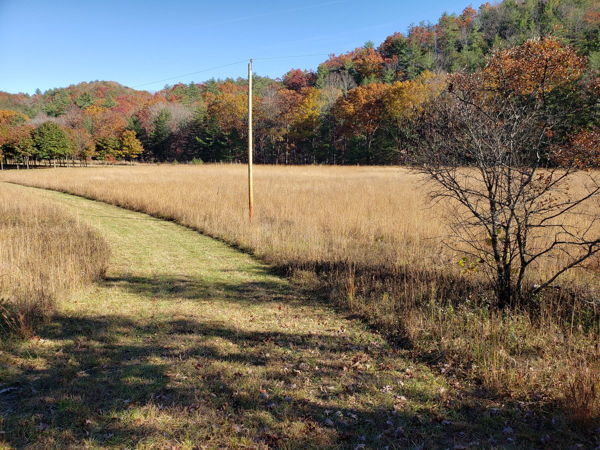 Marc A. Milne tweet media