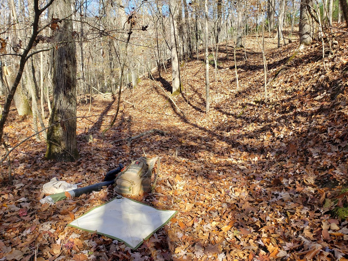 Traveled to just outside of Blacksburg, VA today to sample Jefferson National Forest for a lost species of prairie spider, Goneatara eranistes. 

This is day 1 of 5 days of sampling NC and VA to try and find this elusive species that hasn't been seen in 101 years!