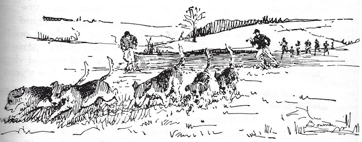 really pretty illustration by Jean Bowman, from Harry Disston’s “Know About Horses” (1961)