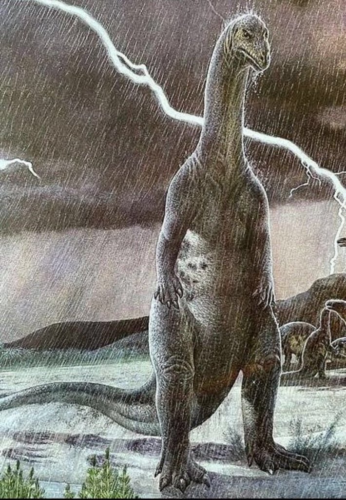 s3rphh4life's tweet image. Me looking at my date while I pick zero may cry on the character select screen: