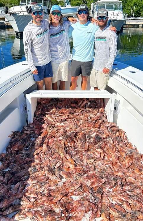 Florida Expert tweet media