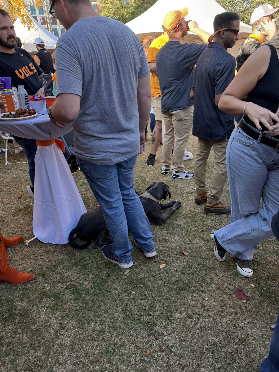 Christopher Walker tweet media