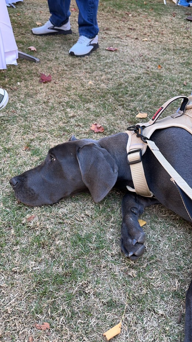 Christopher Walker tweet media