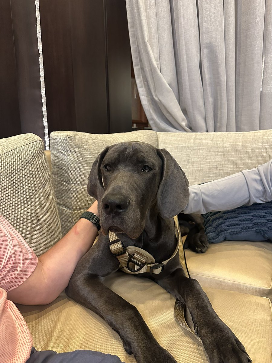 Christopher Walker tweet media