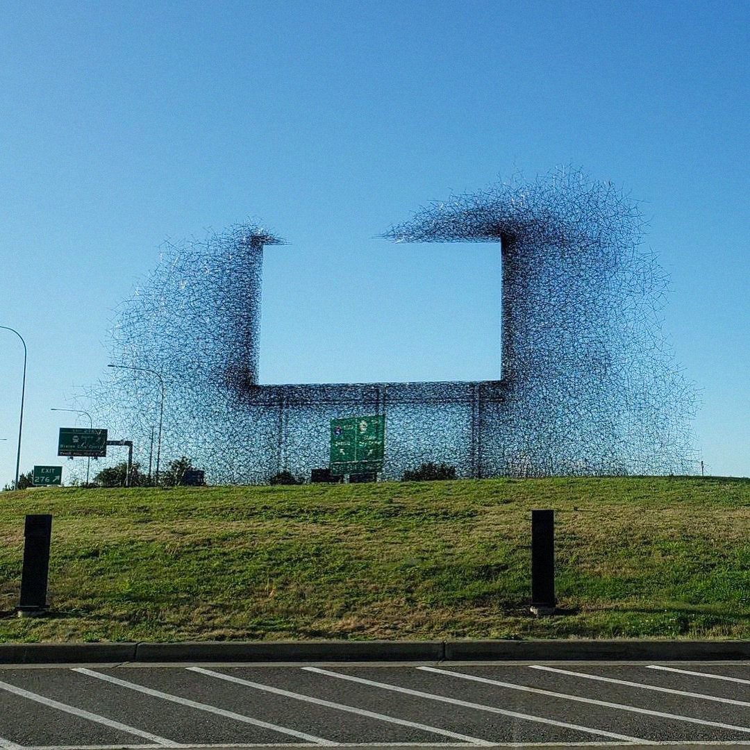 DOESNOTEXIST tweet media