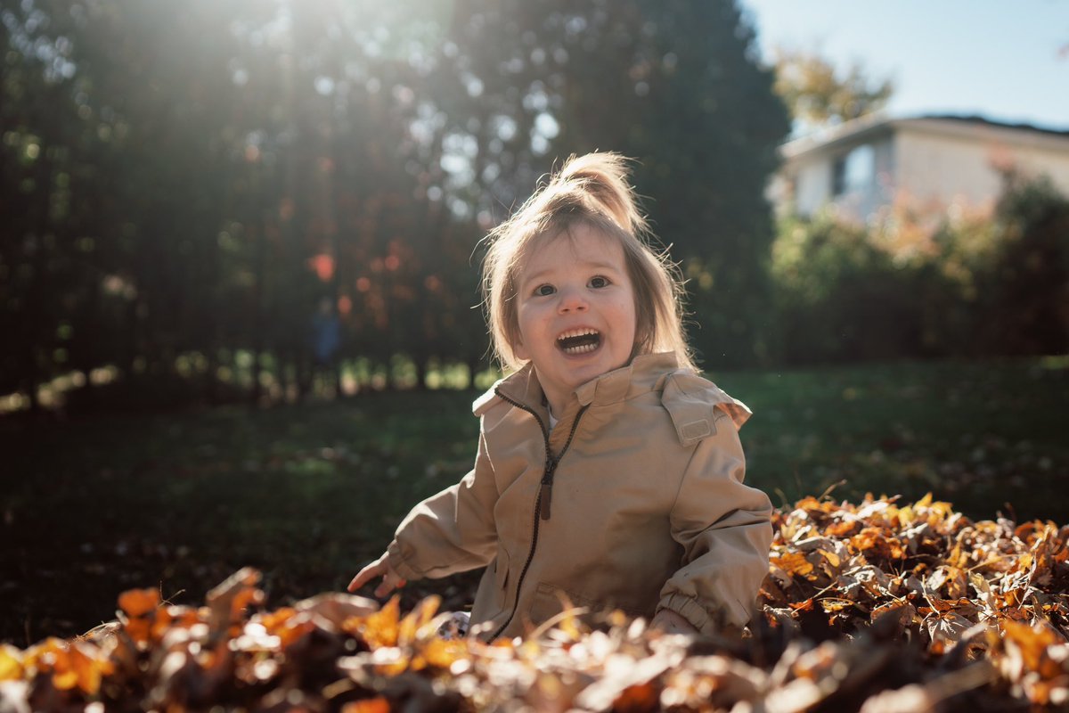 The obligatory annual leaf pile photos