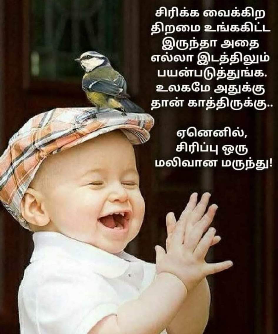 Kumaru (@Kumaru79451439) / Posts / X