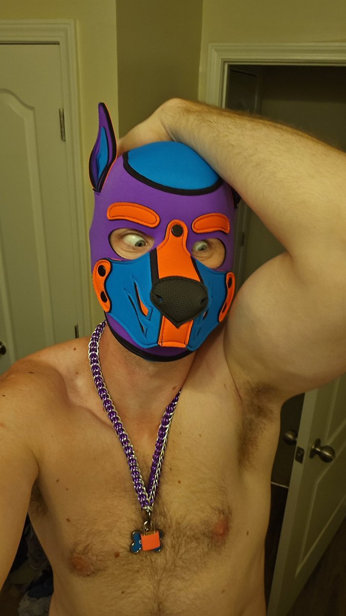 Momo_the_Pupper tweet media