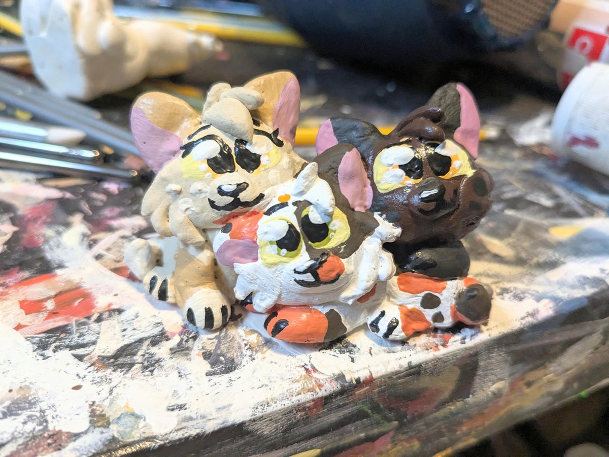 Kattren055's tweet photo. Mapleshade's Kits
#warriorcats #warriorcatspetalkit #petalkit #petalkitwarriorcats #warriorcatspatchkit #patchkit #patchkitwarriorcats #warriorcatslarchkit #larchkit #larchkitwarriorcats https://t.co/etW3ytd08i