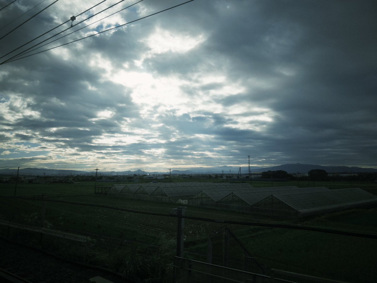 こういうのが旅の醍醐味なんだよね