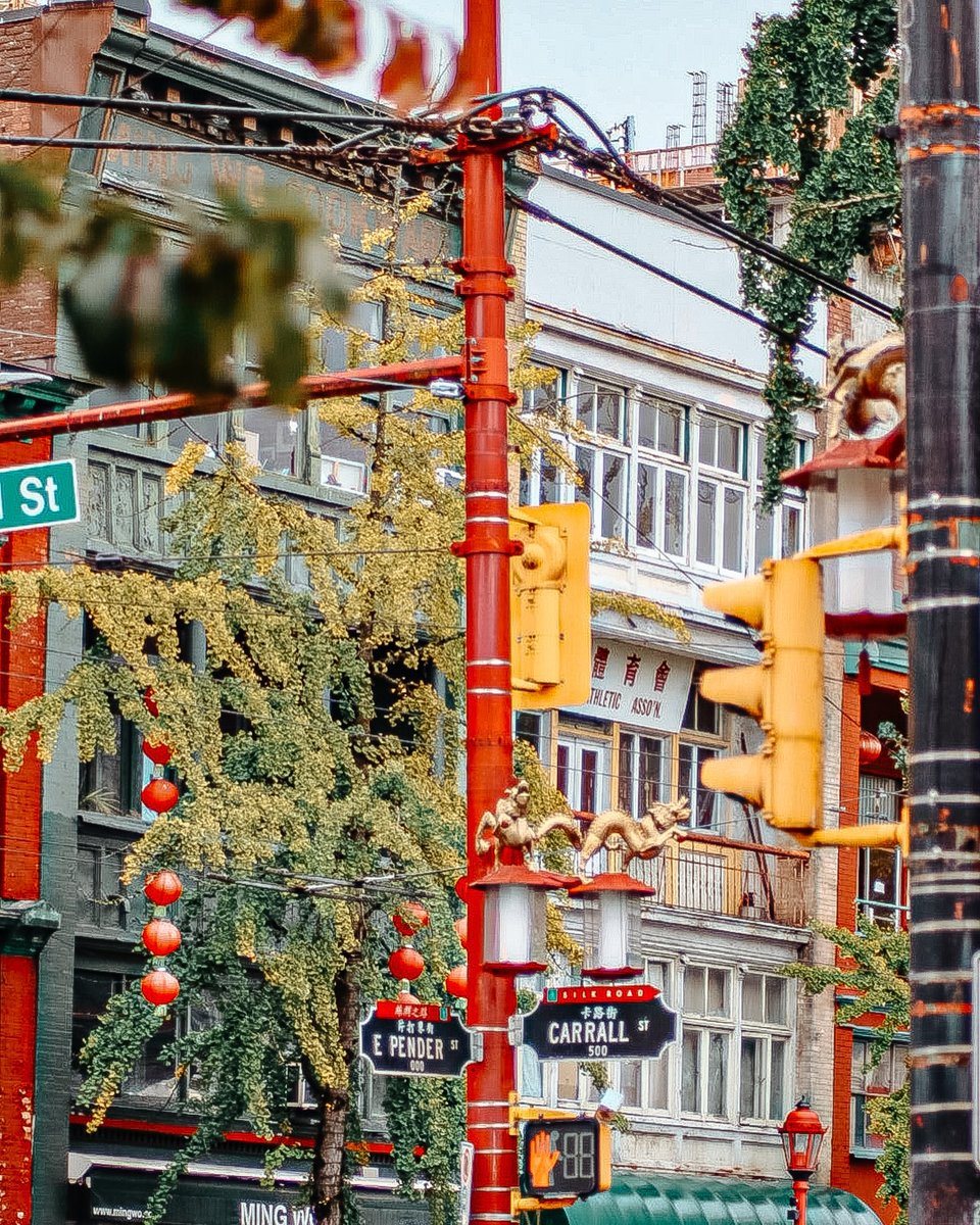 Vibrante corazón de Chinatown en Vancouver 🌸🏮 Historia, cultura y comunidad en cada rincón.
📸: @mle_bb