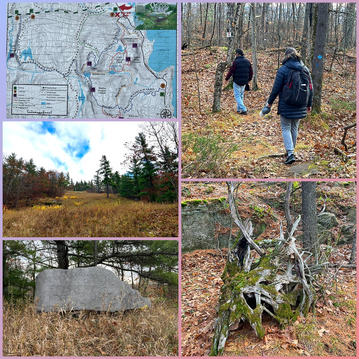 BethGinYGK's tweet photo. A leg day it was! Hiked Calabogie Trails with friends. Ascent. Ascent. Ascent. Descent. Descent. Descent. #legquads #hamstringmuscles The reward was a scrumptious late lunch at River House Vineyard and Winery in Maberly #fuel https://t.co/v7j714ySxd