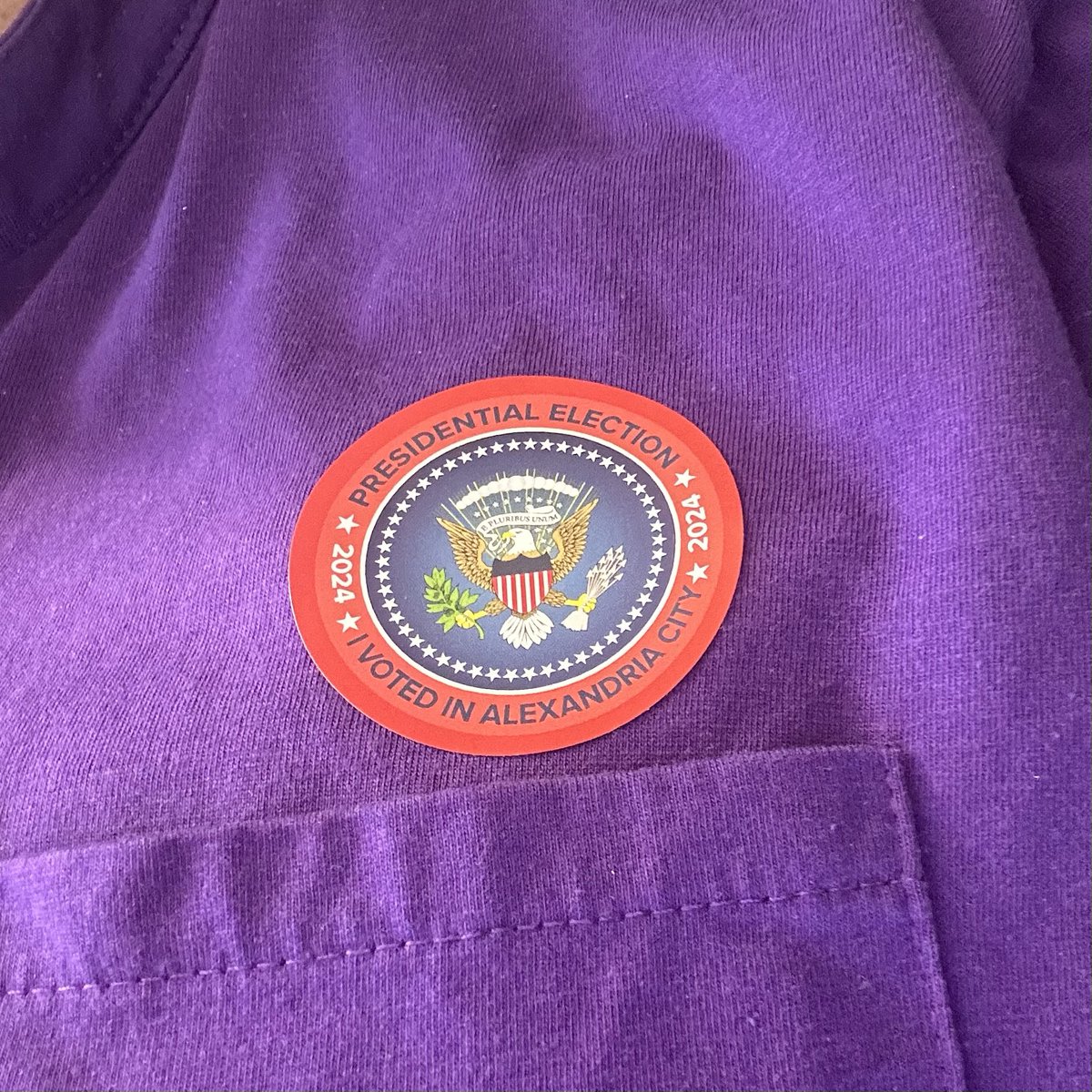 i did the thing today #vote #voteblue
