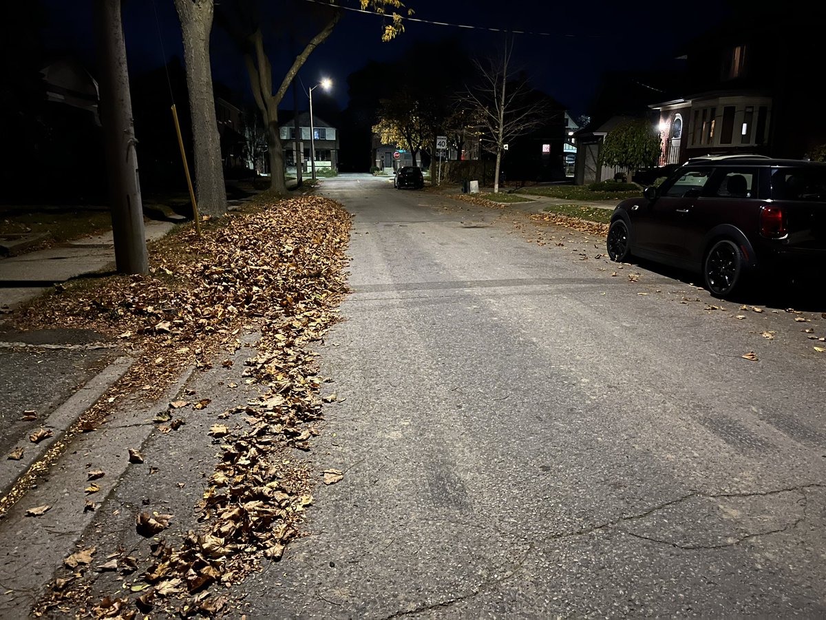 Stephanie Fritz tweet media