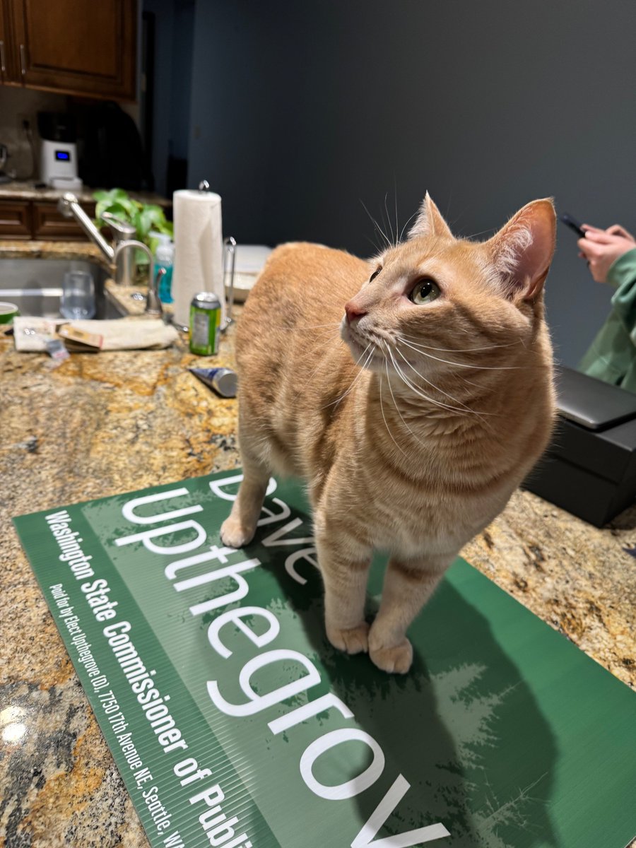 Dobby wants you to return your ballot. You can put it in the mailbox. 📫 You don’t even need a stamp. Fill out the whole ballot- don’t skip races. Every vote counts!