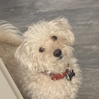 ZebrahG's tweet photo. #NuevaFotoDePerfil https://t.co/McXyJ1PEjP
