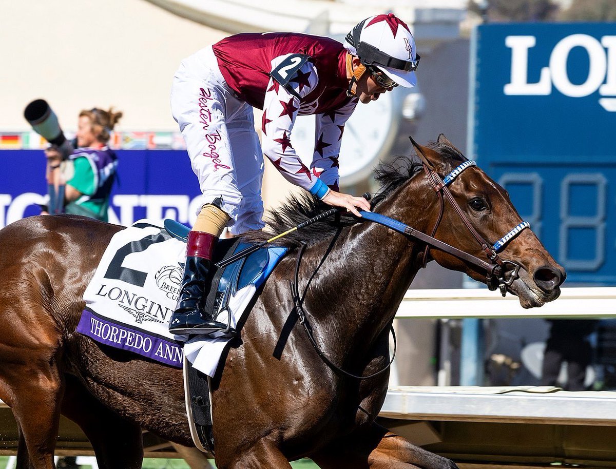BH_AEberhardt's tweet photo. . @Thorpedo_Anna with @b_hernandezjr impressively won the @BreedersCup #Distaff (G1) for b/o Judy Hicks, co-owners Brookdale Racing, Mark Edwards, @MagdalenaRacing and trainer @KennyMcPeek https://t.co/fsTcdwU9vL