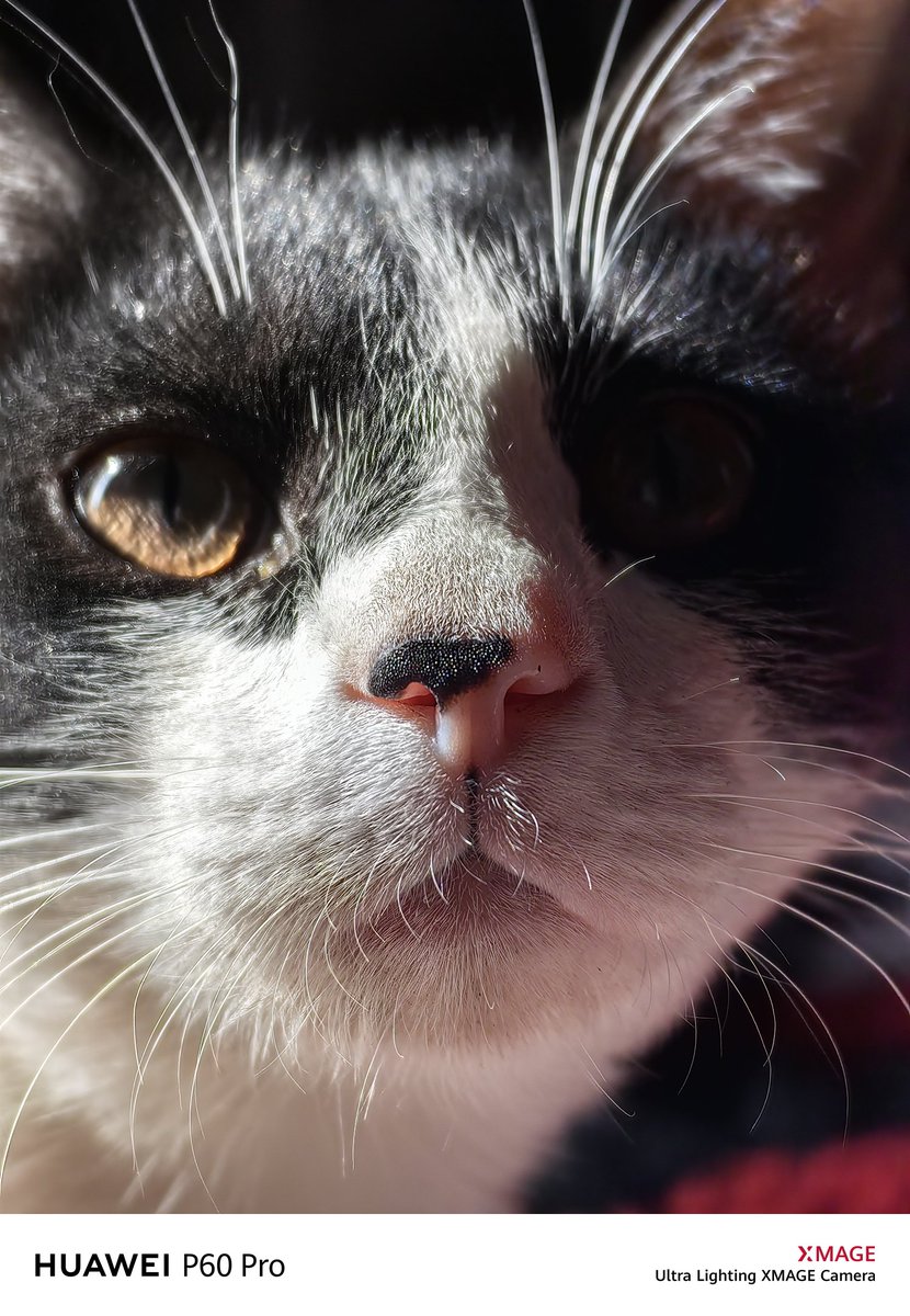 I3d3m's tweet image. #P60Pro 👑
I hope you are well and peace
Greetings to all 🌹💌👍