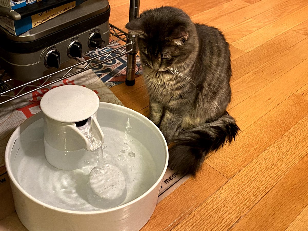 It’s kind of crazy to think the trump closing argument is “we’re gonna fuck with your water.”