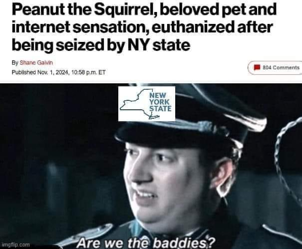 CMemeShell's tweet image. 