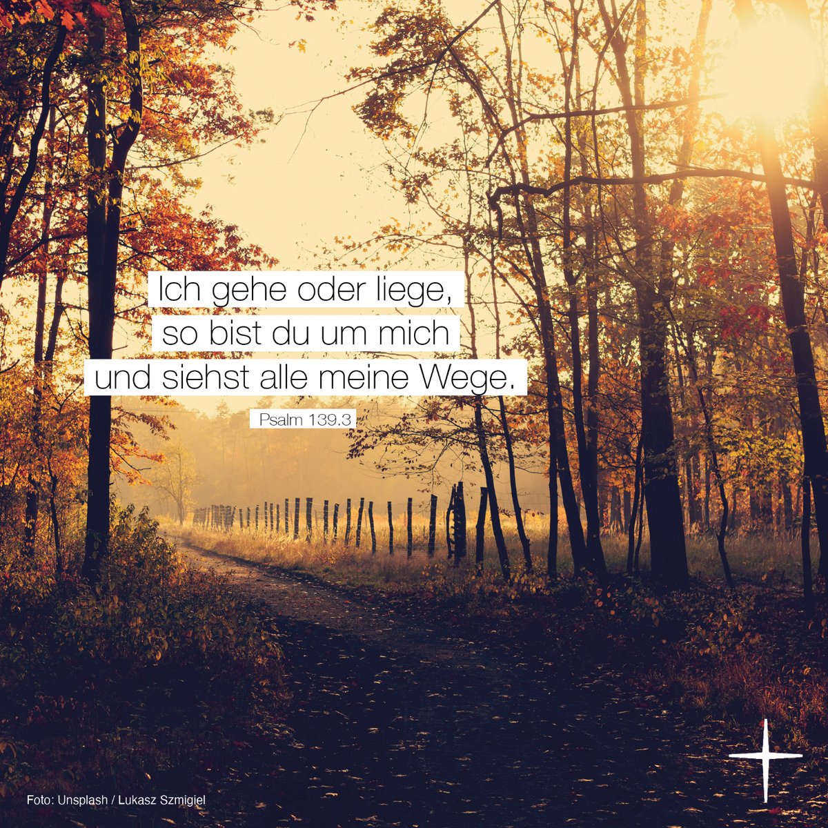 Wir wünschen euch allen einen gesegneten Sonntag 🍁