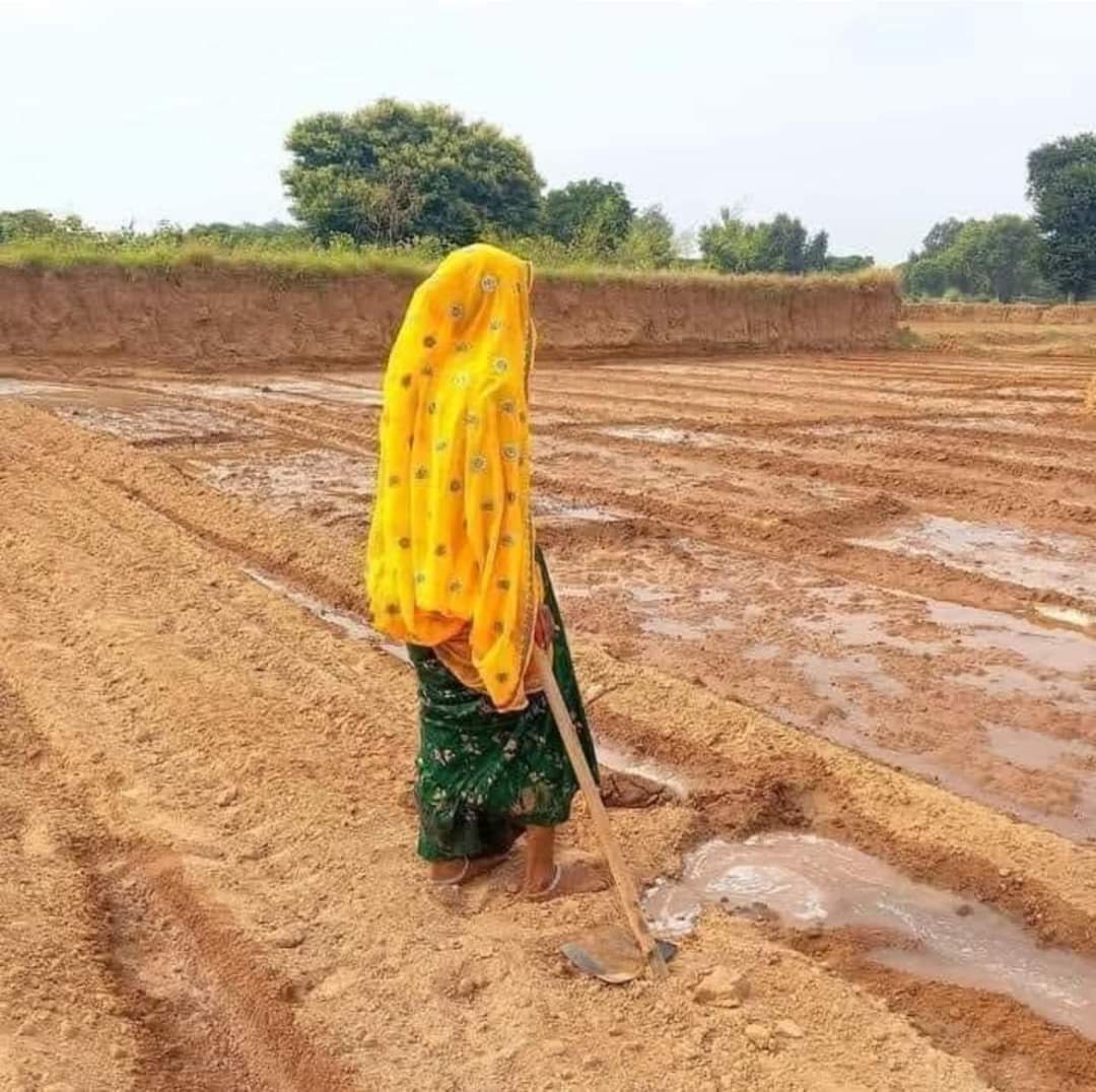 kumarankitpk70's tweet image. नौकरी दो दिन की कहानी है अपनी खेती खानदानी है🙏
       चीर के जमीन को, मैं उम्मीद बोता हूँ…
        मैं किसान हूँ, चैन से कहाँ सोता 🙏
            #kisan #kisanlife