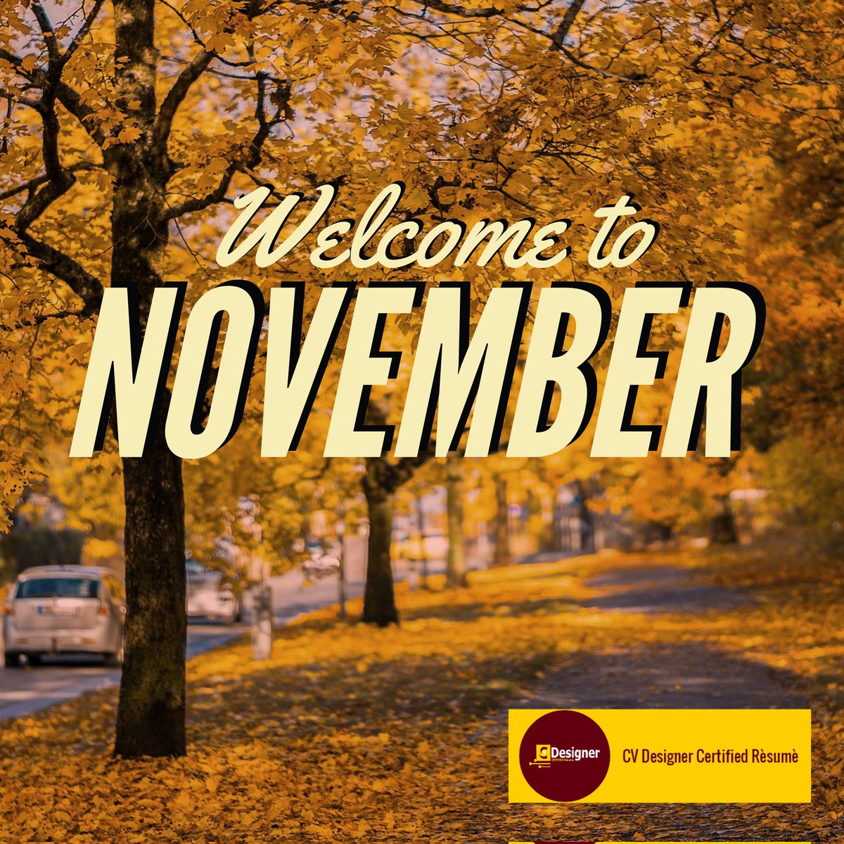 CVDesigner2154's tweet photo. Hello, welcome to November 🍁🍂

To all Friends in the #WritingCommunity!

It's time for a #writerslift!

It's a #ShamelessSelfPromSunday!

Post your #book #novel #poem #art #blog #channel #WIP or #memoir

Like, #RETWEET &amp; Engage 
 #WednesdayVibes #WednesdayAfternoon https://t.co/w84Ym2GR9h