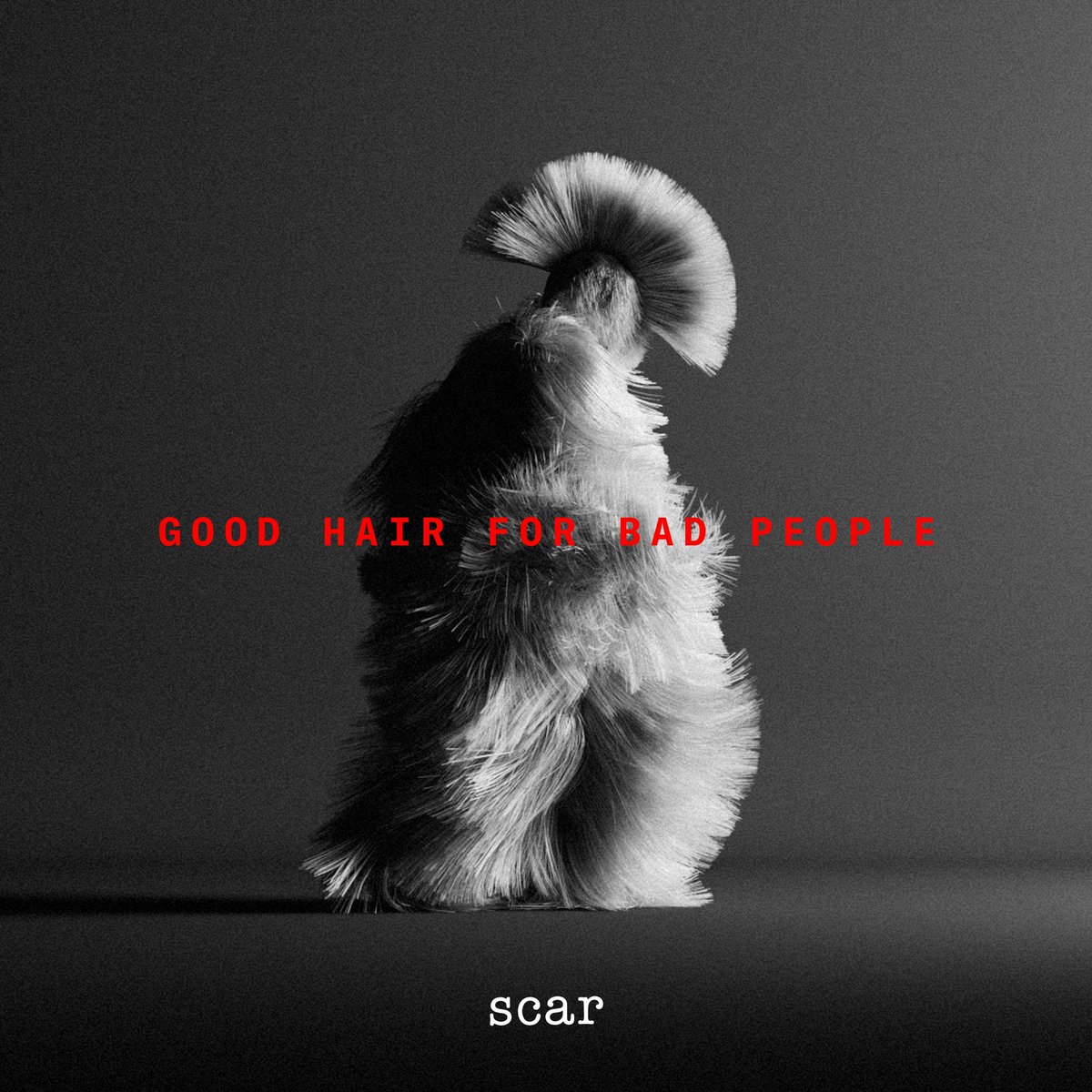 #scar  •  Since 2002  •  Bree Street 

#capetown 
#scarhair 
#capetownhair 
#goodhairforbadpeople

<a href="/InfringeMag/">InfringeMag</a> 
<a href="/thecoolhunter/">thecoolhunter</a>