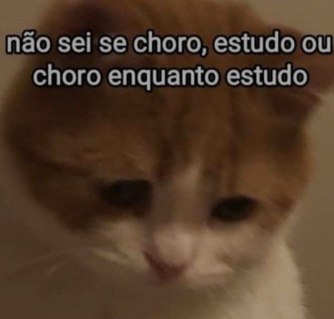 starx_julia's tweet photo. @studynamukoo KKKKKK SOCORRO EU ERREI O NOME
Só não fiz esse ano pq minha escola é tão  ✨️maravilhosa✨️ que me desanimou mt esse ano, é mt ruim estudar sem uma base
Vou fazer o provão dia 11/12 e tô quase enlouquecendo,
avisaram do provão um mês atrás,
graças à Deus vou mudar de escola!!! https://t.co/UzXPxLaYwN