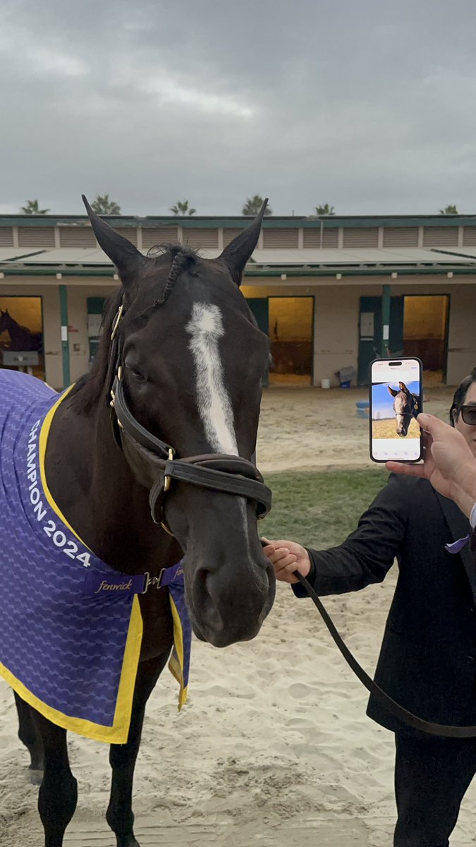 Cherie DeVaux tweet media