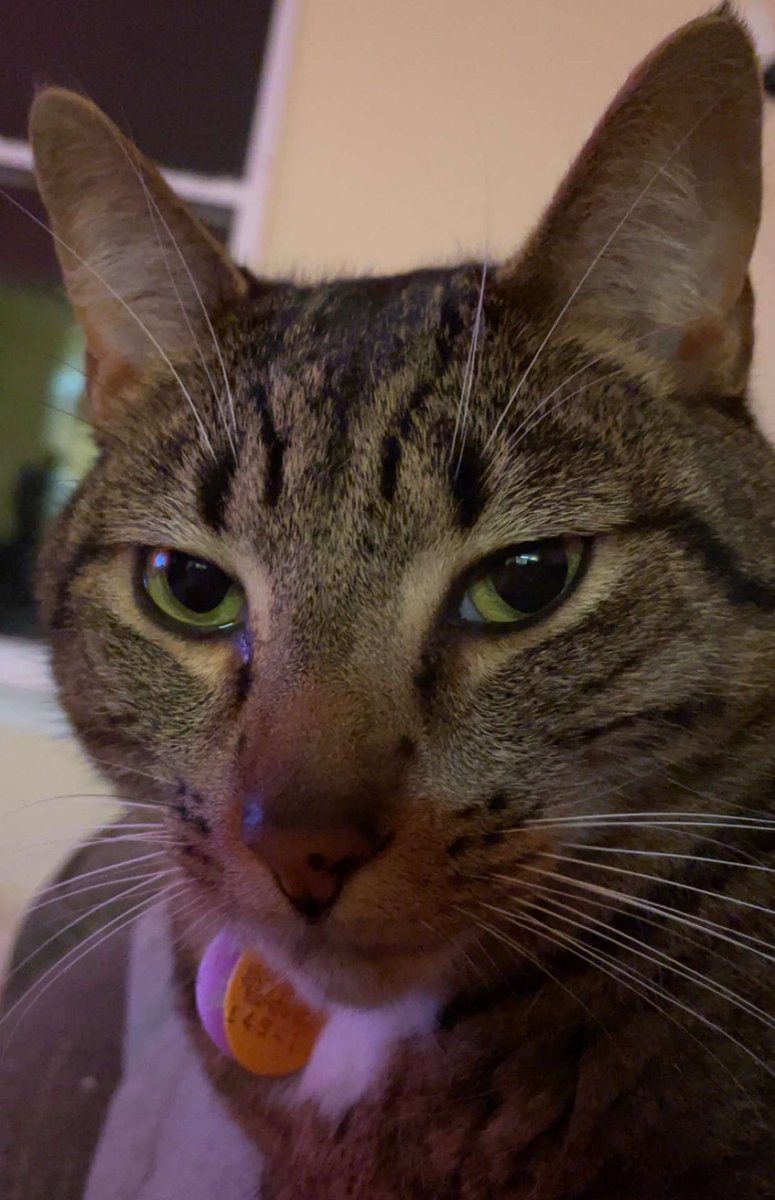 CWUEsports's tweet image. We lock in for game 2