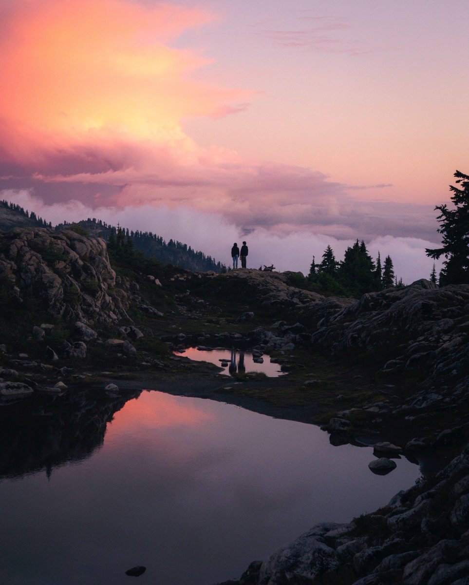 CodyMayer22's tweet photo. dreamscapes https://t.co/2Y7kYCEG0i