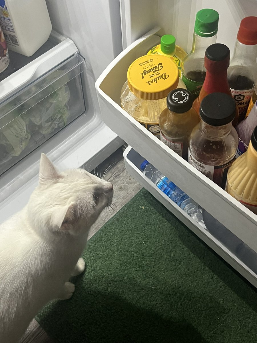 swagmastarpaul's tweet photo. I’m in your house in your fridge looking at what condiments you have https://t.co/gVaDgx9mIG