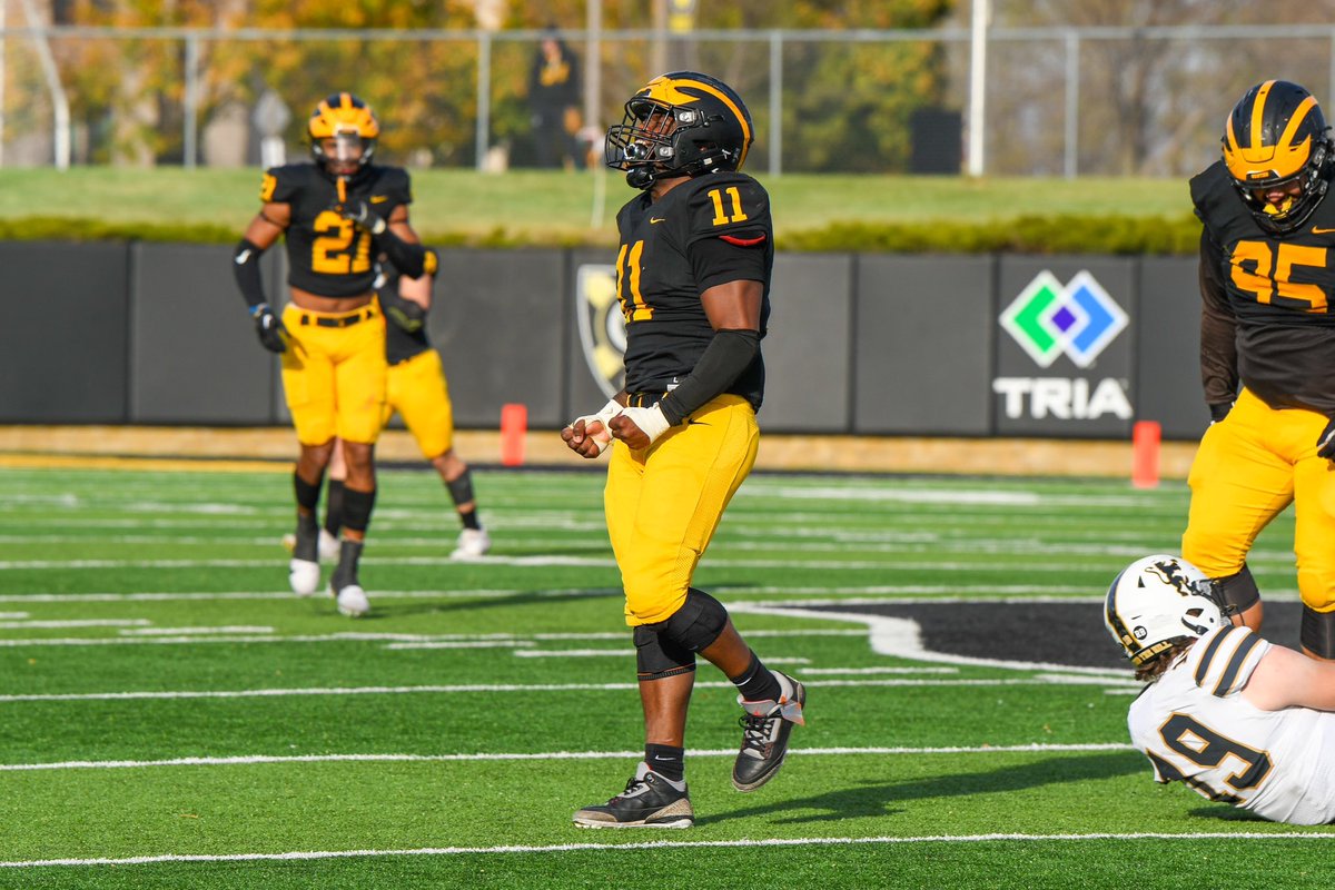 Gustavus Football tweet media