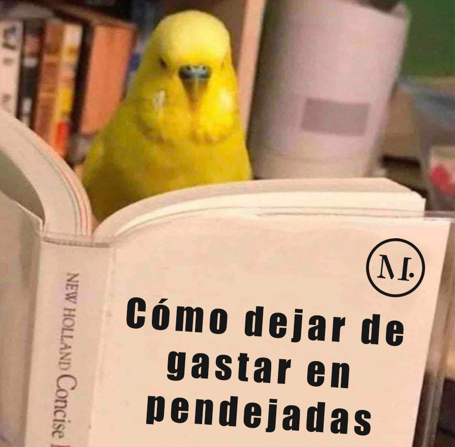 Les presento mi nuevo libro.