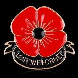 Cl1Richard's tweet photo. Happy to honour the men and women that died for our freedoms! The Freedoms Trudeau is trying to take away. Fergus Ontario! https://t.co/i333hu1Use