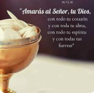 MldoMayra's tweet photo. Buenas noches.Dios guarde nuestro descanso,y feliz Domingo,Día del Señor 🙌🙏 junto a sus seres queridos.
#NosVemosEnLaEucaristía🤍
#MuchasBendiciones✨❤️ https://t.co/rexYhXqS9D