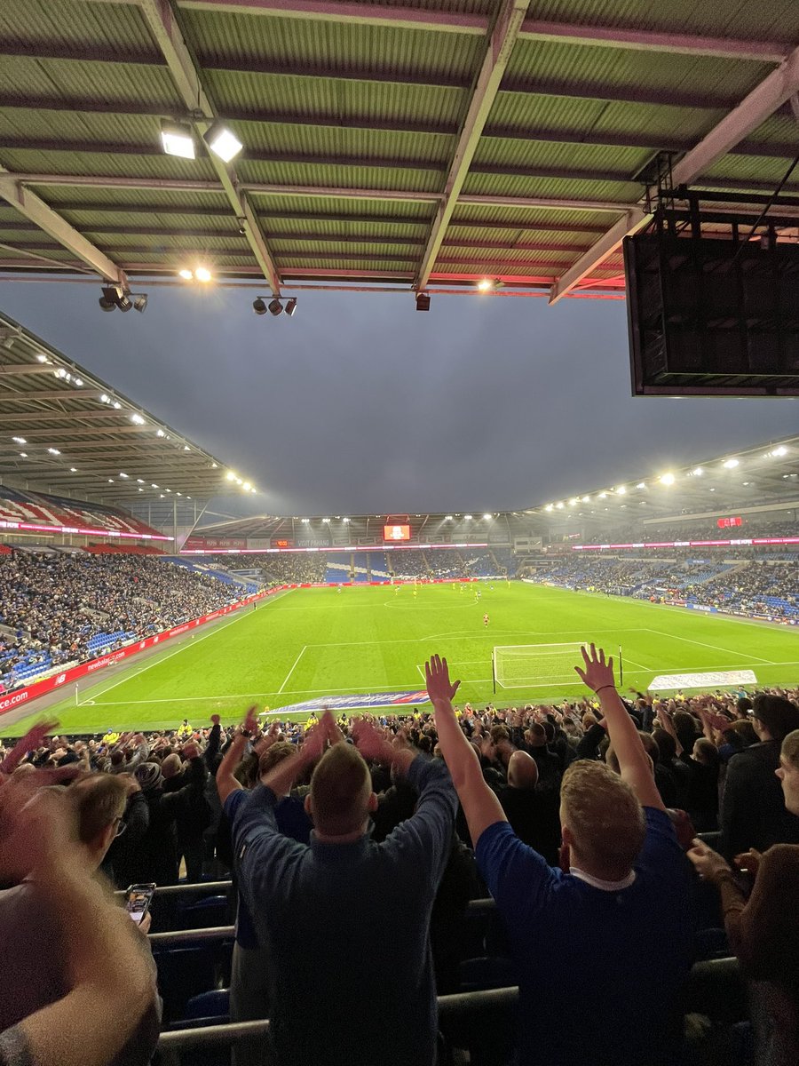 moxyyyyyyyy_'s tweet photo. u bluebirds x https://t.co/lbk0oRXfof