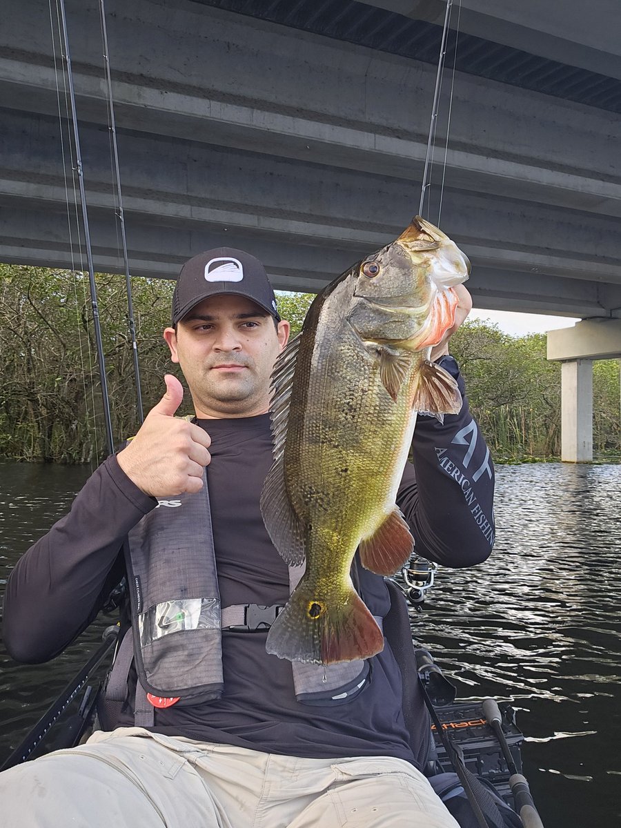 NicholasBeltr17's tweet photo. It was just another great weekend catching peas all morning!!!! Love it 😀
#peacockbass #fishing #kayakfishing #aftcofreshwater #bonafidekayaks #fishusa #yakkattackfishing #everglades https://t.co/SOjQZi0Jap