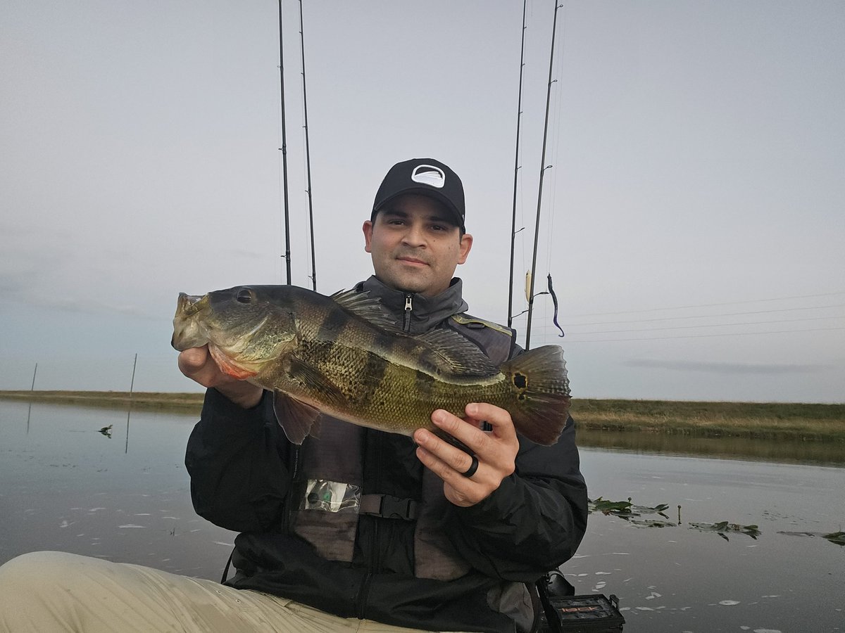 NicholasBeltr17's tweet photo. It was just another great weekend catching peas all morning!!!! Love it 😀
#peacockbass #fishing #kayakfishing #aftcofreshwater #bonafidekayaks #fishusa #yakkattackfishing #everglades https://t.co/SOjQZi0Jap