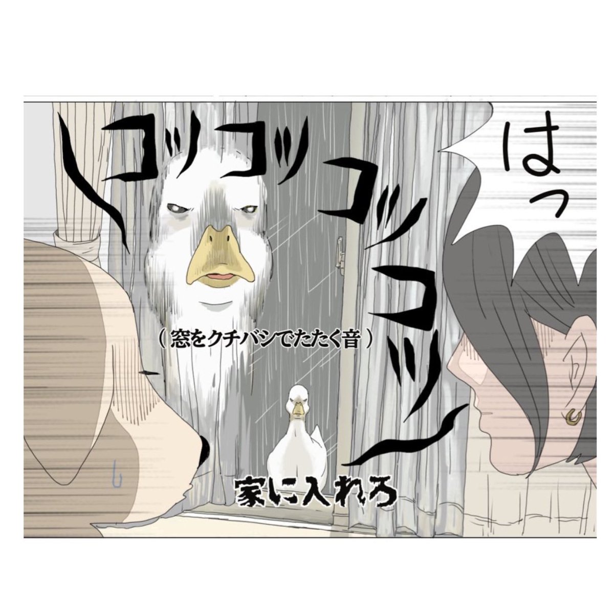 アヒルは自己主張が強いので音を立てたり鳴いていっぱい要求を訴えてきます…。
『エースくんとヨバンさん 犬とアヒルの友情物語』11月20日発売/KADOKAWA
ご予約はこちら⬇︎
Amazon→ https://t.co/kKH679L6WO
#漫画が読めるハッシュタグ #エースくんとヨバンさん