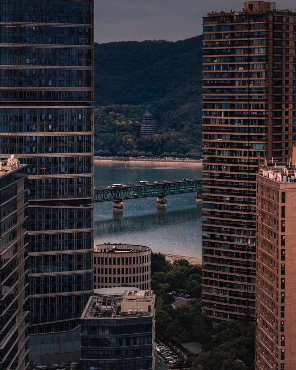 Hangzhou_CHINA's tweet photo. Views of Hangzhou that never get old… 
📸 @ding_hz777

#hangzhoulife #hangzhouportrait #hangzhou #thatshangzhou #livingpoetry #instahangzhou #bestvacations #hangzhou #beautifuldestinations #illgrammers #weekly_feature #bestcitybreaks #discoverearth
#theimaged #lensbible #raw_china #raw_cityscapes #HangzhouPhotography #TravelChina #HiddenGems