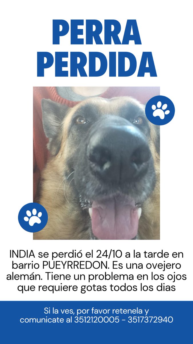 AleAlbrechtP's tweet photo. Estamos buscando a la perrita de mis abuelos!! Última vez vista en Barrio Los Pinos, la retuvieron unas horitas y cuando llegamos ya la habían soltado. Nos ayudas a difundir @gabuleta ?? https://t.co/zTbO3XBcDT