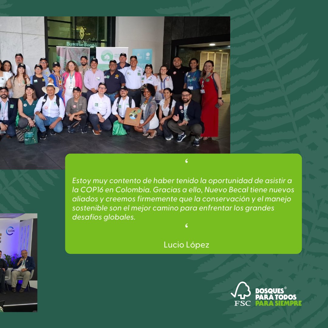 El 24 de octubre, el Ejido Nuevo Becal participó en la #COP16Colombia  compartiendo su impacto en biodiversidad y conservación junto al FSC. #COP16 #Biodiversidad