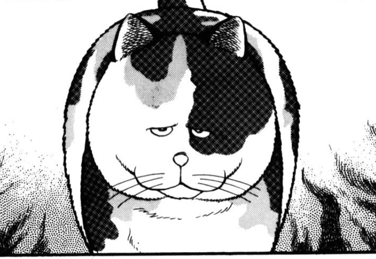黒木真生 