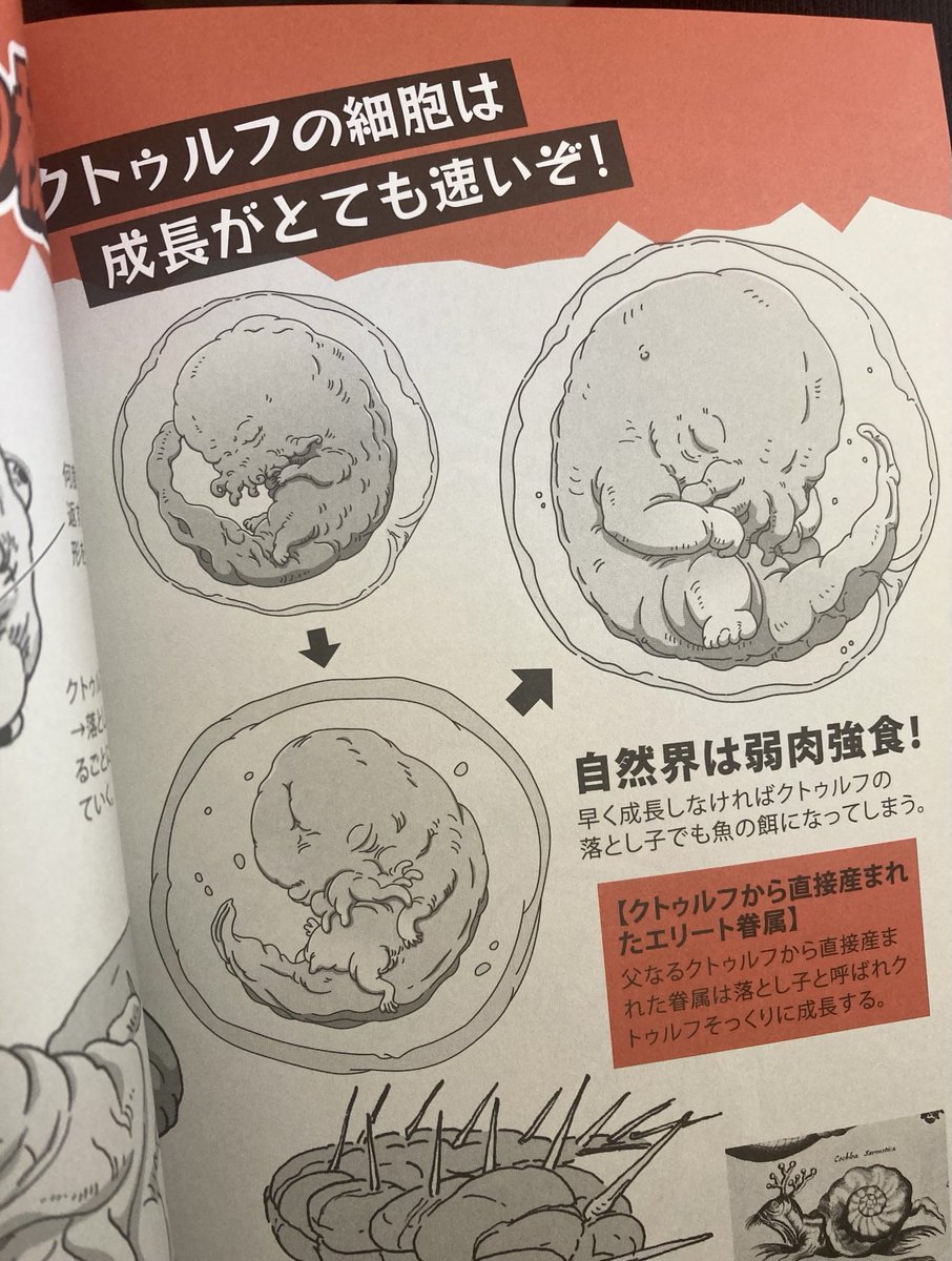 成長過程 