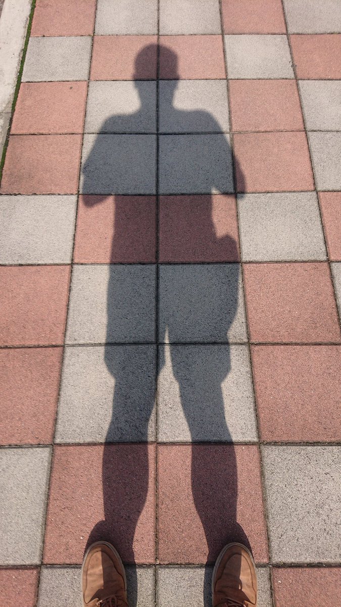 風城．遊子(YaBo) tweet media