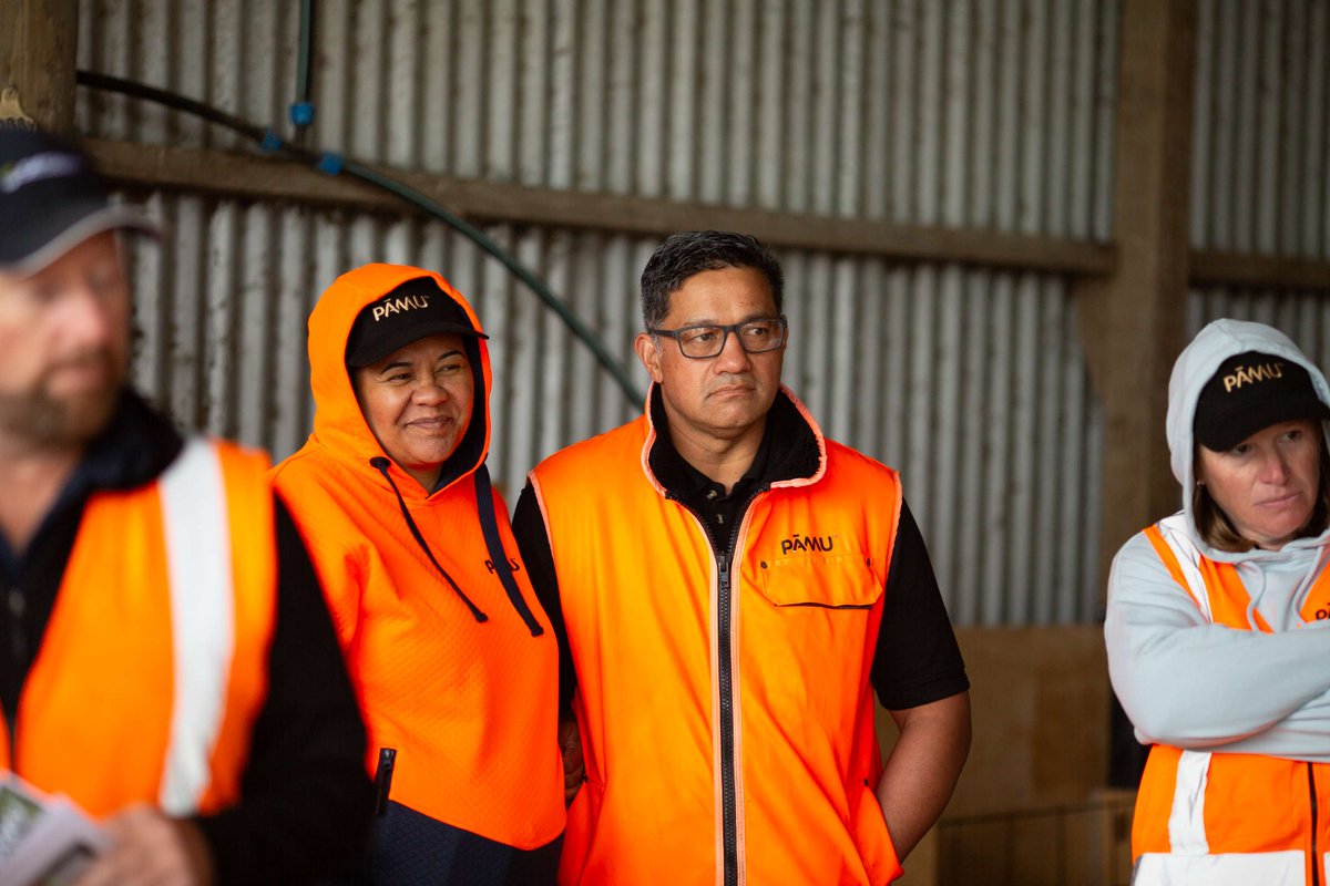 Over 120 enthusiastic guests joined us at Moutoa Open Farm Day to learn about our organic dairy farming journey! While the weather limited full farm tours, attendees explored calf-rearing sheds, gaining insight into Pāmu’s commitment to sustainable practices and animal welfare.