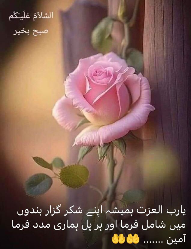 صبح بخیر